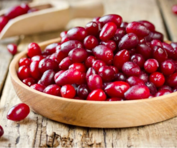 Kızılcık Pekmezi 630 gr